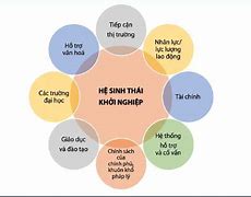 Các Chính Sách Hỗ Trợ Thanh Niên Khởi Nghiệp