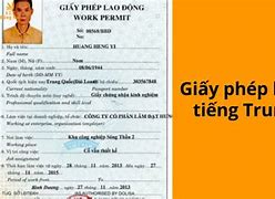 Cấp Giấy Phép Tiếng Trung Là Gì