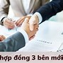 Hợp Đồng Bên Em 98 Là Gì Em Ơi