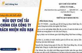 Mẫu Quy Chế Tài Chính