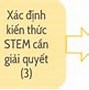 Mục Tiêu Stem