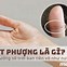 Vân Mắt Phượng Là Gì